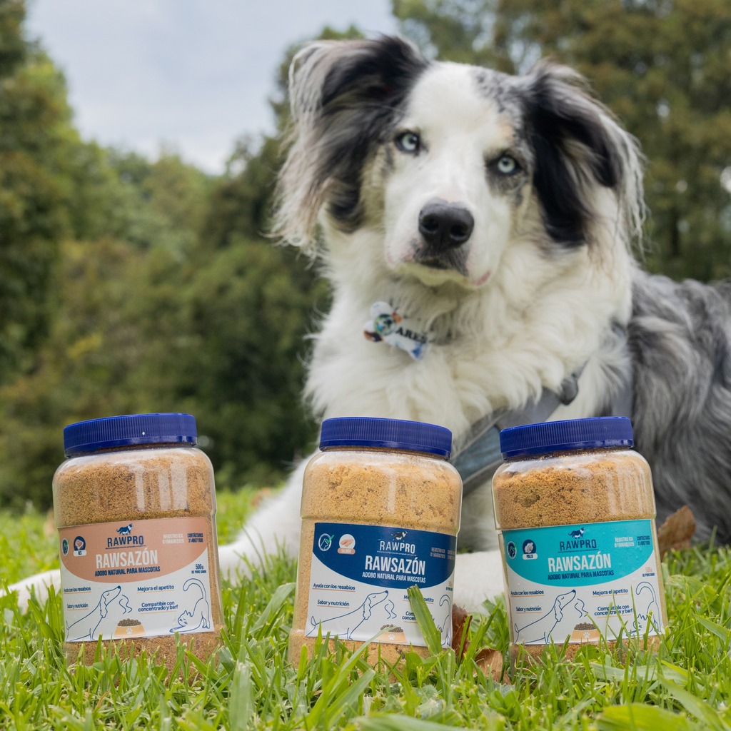 Rawsazón de Pollo: Adobo natural para mascotas