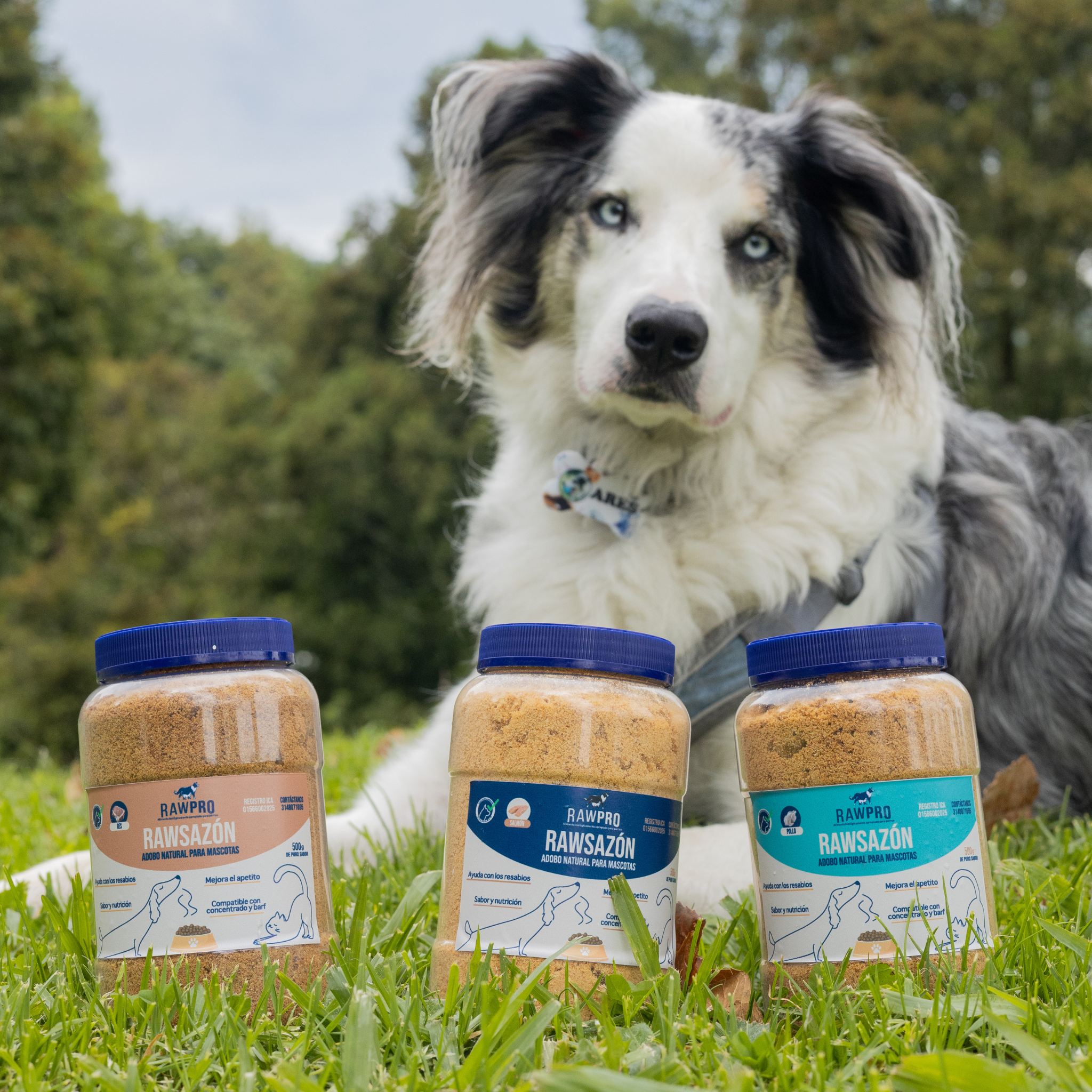 Rawsazón de Salmón: Adobo natural para mascotas