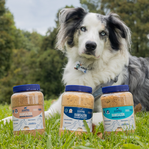Rawsazón de Pollo: Adobo natural para mascotas