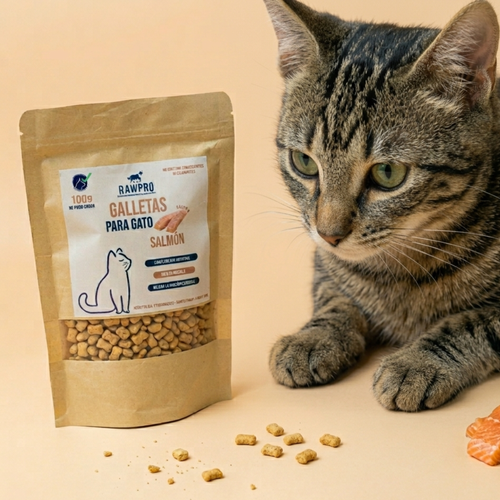 Galletas de Salmón para Gato